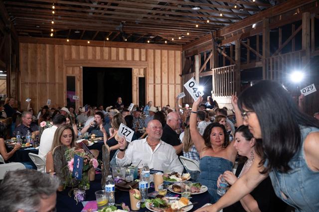 Denim and Diamonds 2025 gala, photo 163