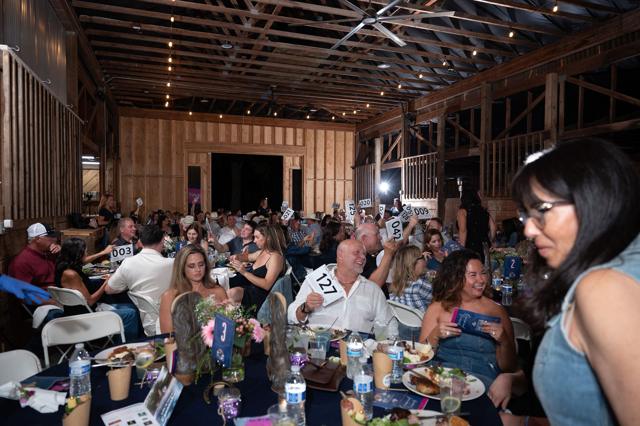Denim and Diamonds 2025 gala, photo 164