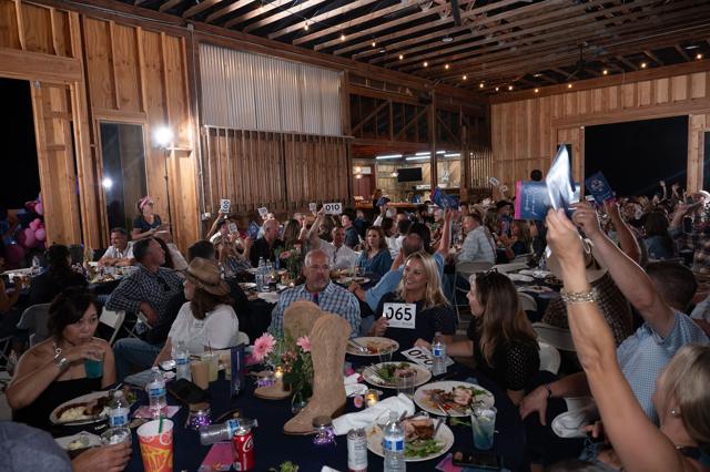 Denim and Diamonds 2025 gala, photo 194