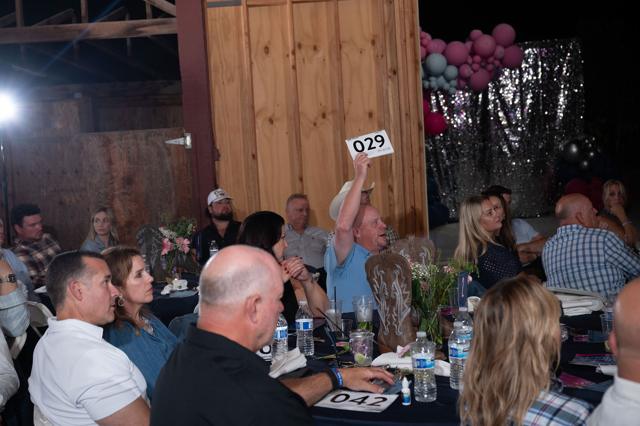 Denim and Diamonds 2025 gala, photo 227