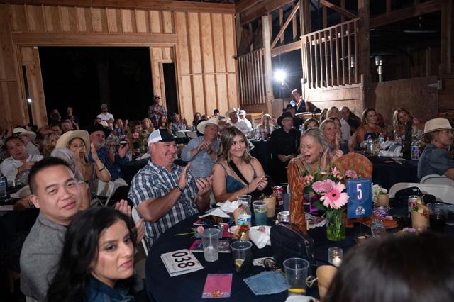 Denim and Diamonds 2025 gala, photo 228