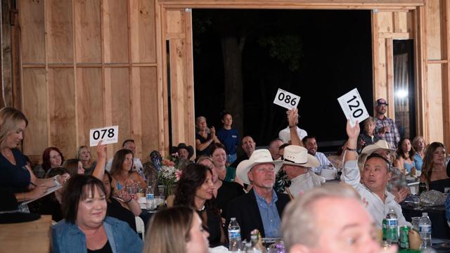 Denim and Diamonds 2025 gala, photo 239