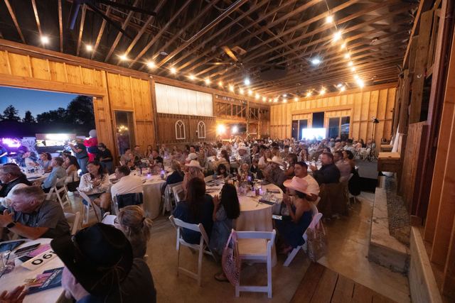 Denim and Diamonds 2026 gala, photo 26