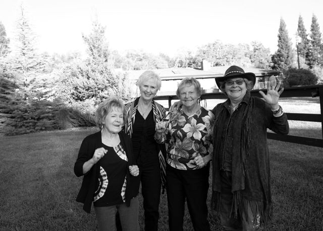 Denim and Diamonds 2026 gala, photo 169