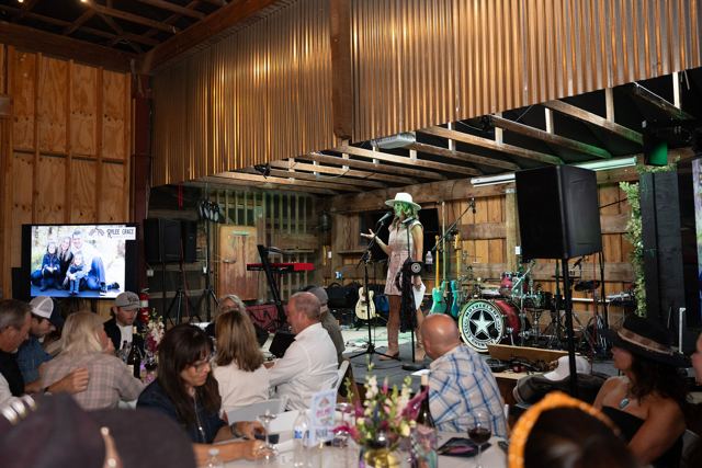 Denim and Diamonds 2026 gala, photo 262
