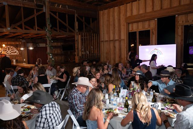 Denim and Diamonds 2026 gala, photo 299