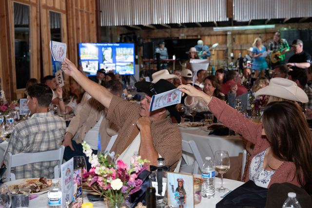 Denim and Diamonds 2026 gala, photo 400
