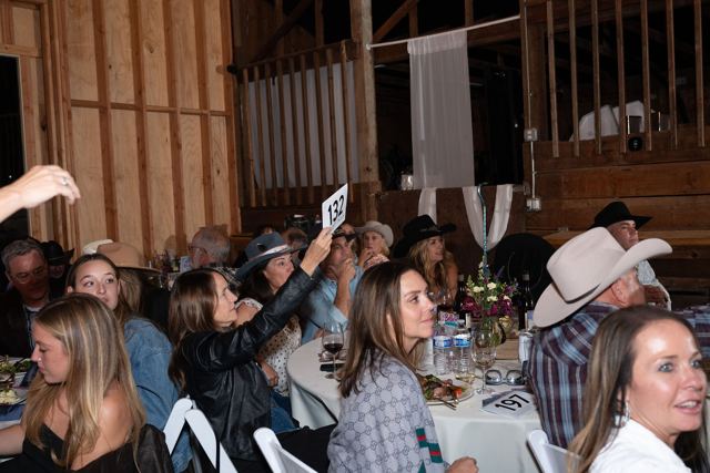 Denim and Diamonds 2026 gala, photo 402